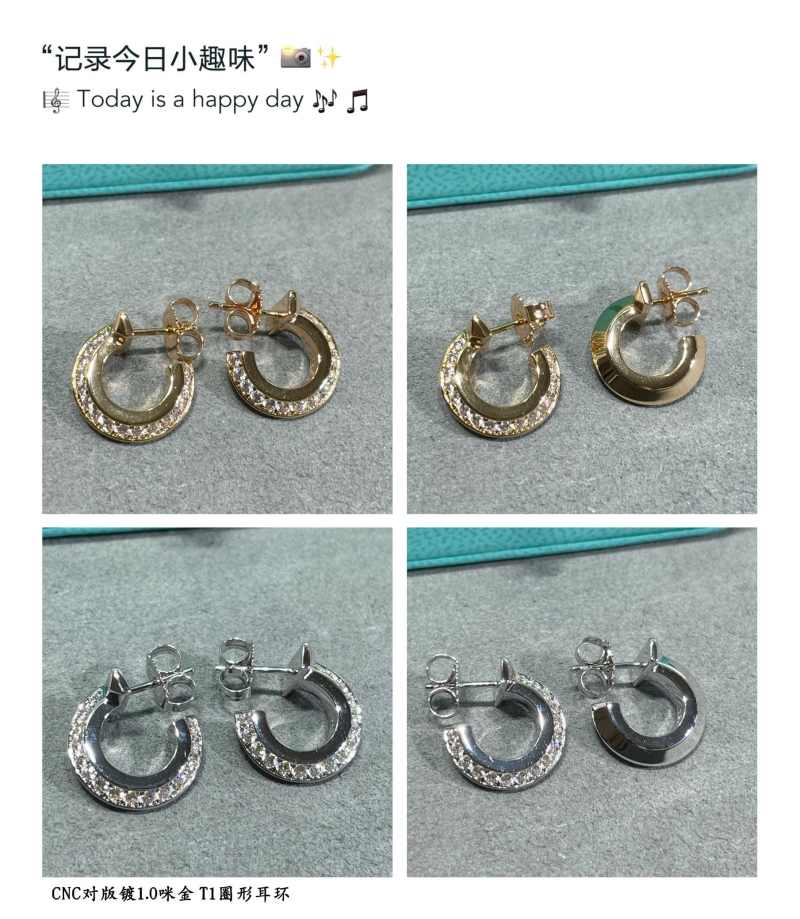 Ch**el earrings